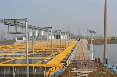 陸基養(yǎng)魚技術(shù)-智慧農(nóng)研(*服務(wù))