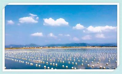 諸暨珍珠產(chǎn)業(yè):錨定數(shù)字化 開辟新藍(lán)海