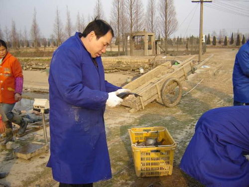 新冠肺炎疫情對漁業(yè)影響與春季生產(chǎn)技術(shù)指導(dǎo)意見 以江西為例