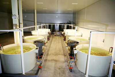 楊凌:&ldquo;海鮮陸?zhàn)B&rdquo;技術(shù)推動水產(chǎn)養(yǎng)殖新革命