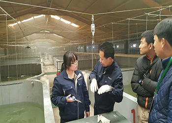 告別&ldquo;嗑藥&rdquo;魚!我國首個海水魚活疫苗投產(chǎn)應(yīng)用_新聞_央視網(wǎng)(cctv.com)