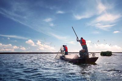 養(yǎng)魚(yú)就是養(yǎng)水,廠家如何研發(fā)有效調(diào)水產(chǎn)品?|陳昌福專(zhuān)欄