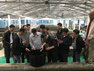全國水產技術推廣總站張鋒書記到晉江福大鮑魚水產調研