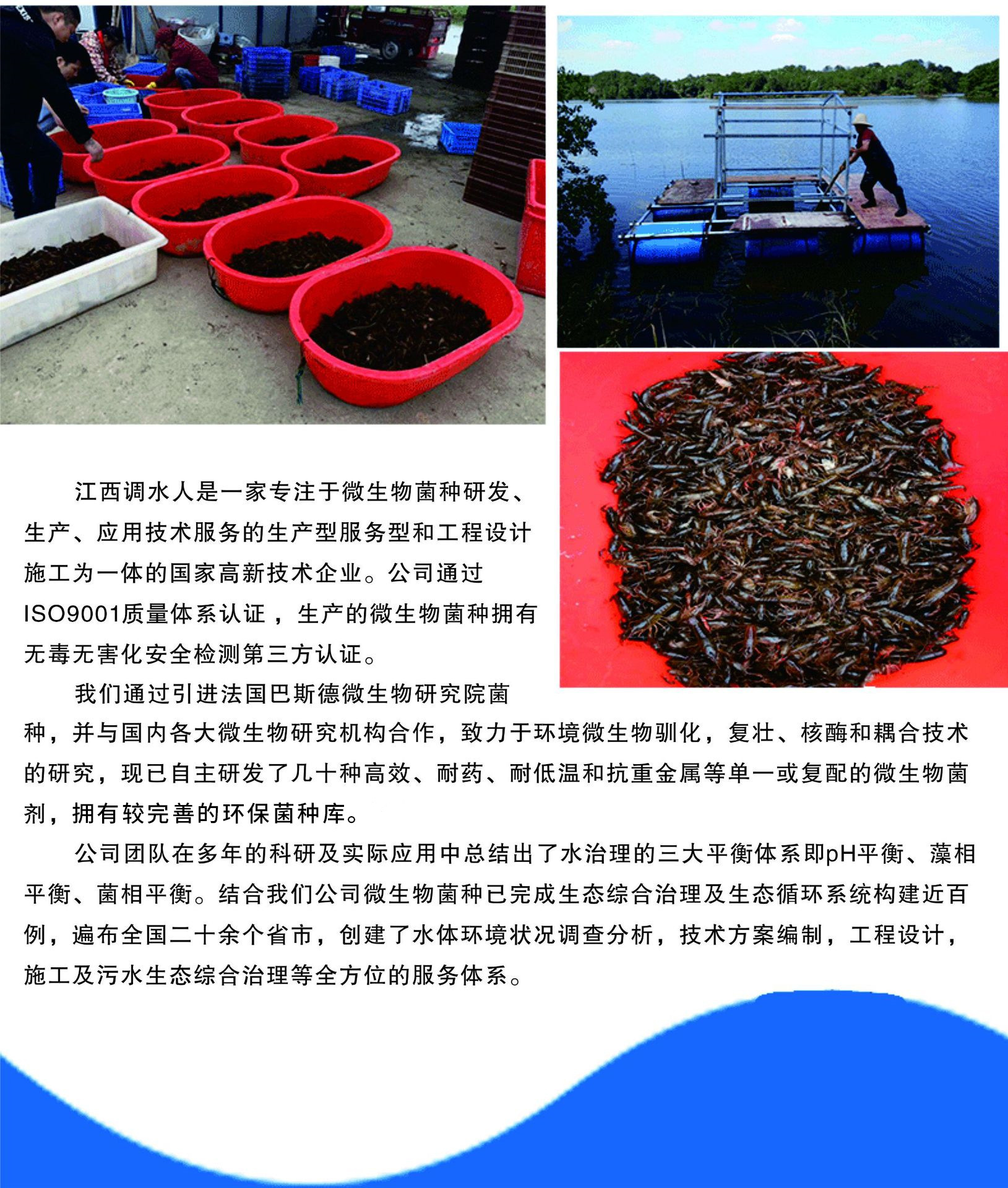 em菌水產 魚蝦蟹塘凈水改底調水em菌粉 水產養殖em菌種em菌