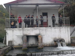 全國水產(chǎn)技術(shù)推廣總站副站長胡紅浪等到畢節(jié)考察三文魚養(yǎng)殖