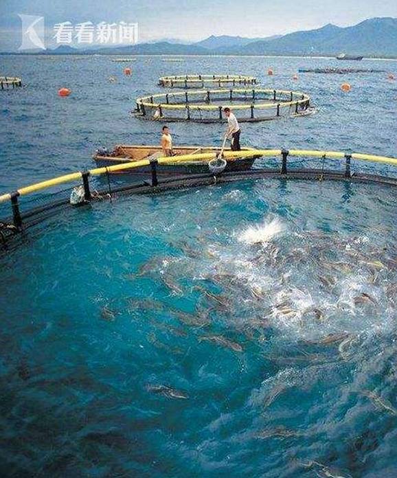 上海水產(chǎn)科學(xué)研究院研發(fā)深遠(yuǎn)海養(yǎng)殖工船與農(nóng)家樂休閑觀光服務(wù)的融合探索